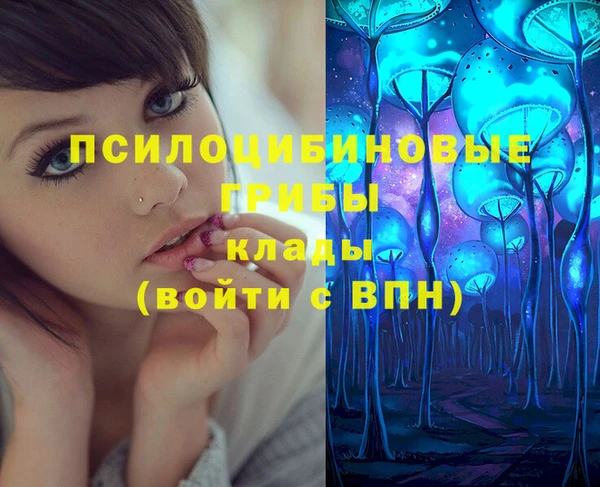 СК Балахна